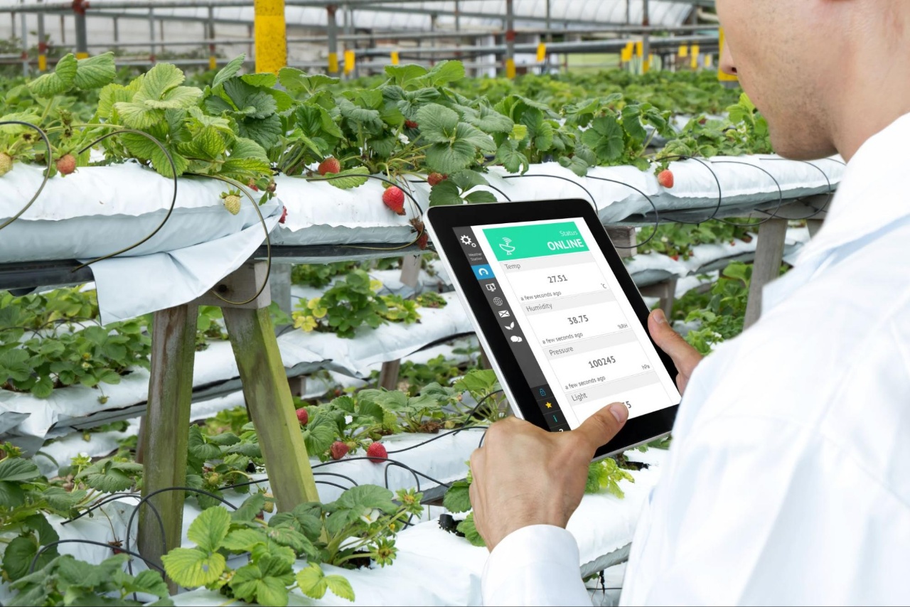 Agricoltura 4.0: IoT per tutti i settori della produzione