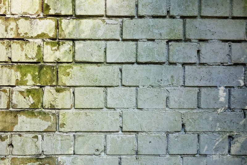 La muffa sui muri di casa ti stressa? Scopri tutti i vantaggi del coprimuro in marmoresina